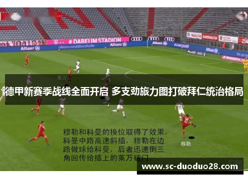 德甲新赛季战线全面开启 多支劲旅力图打破拜仁统治格局