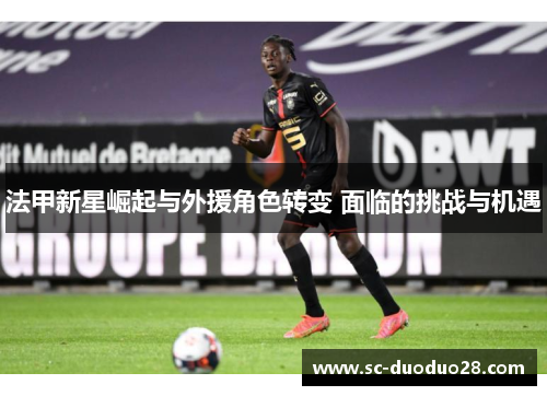 法甲新星崛起与外援角色转变 面临的挑战与机遇