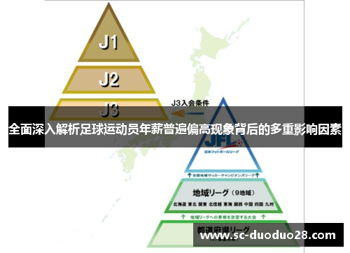 全面深入解析足球运动员年薪普遍偏高现象背后的多重影响因素