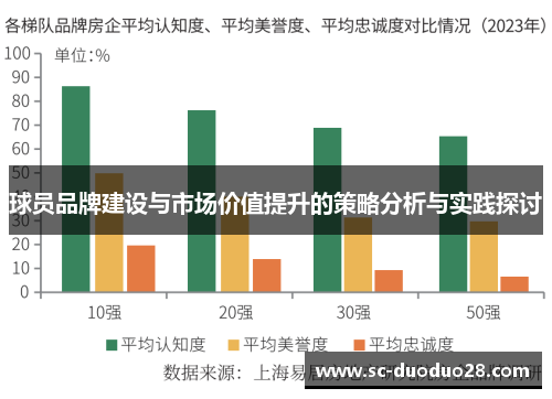球员品牌建设与市场价值提升的策略分析与实践探讨