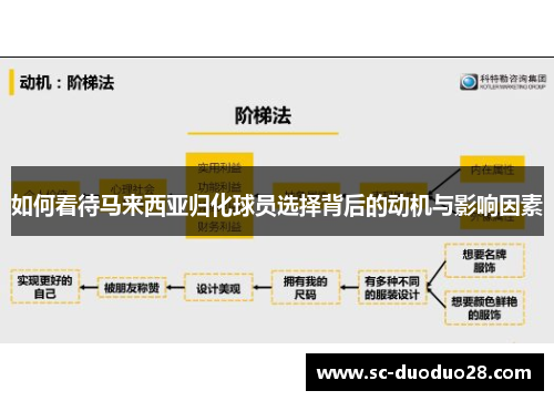 如何看待马来西亚归化球员选择背后的动机与影响因素