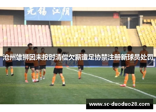 沧州雄狮因未按时清偿欠薪遭足协禁注册新球员处罚